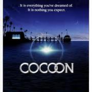 Qui a réalisé le film Cocoon ?